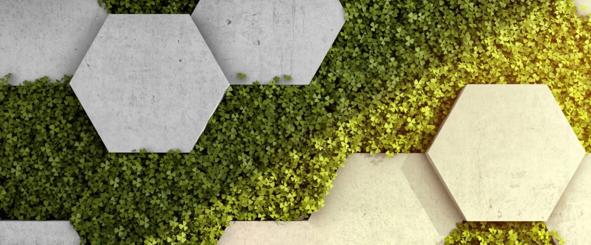 hexagonal architecture spring boot