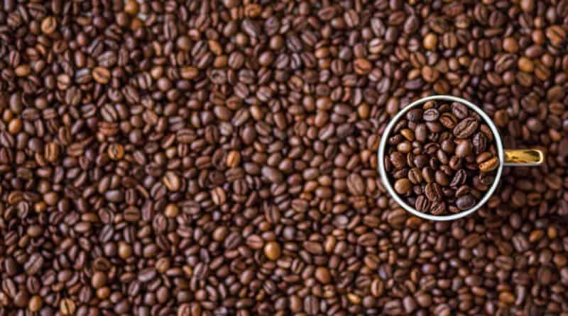 java 19 features