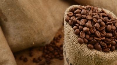 java module imports feature image